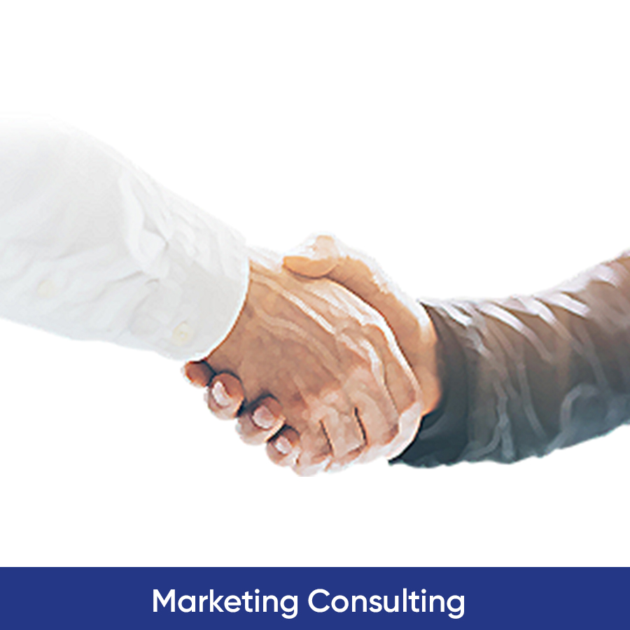Consult with Digital Marketing Experts